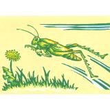 Grasshopper