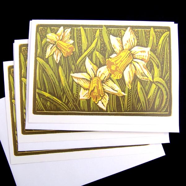 Daffodil Daffodil